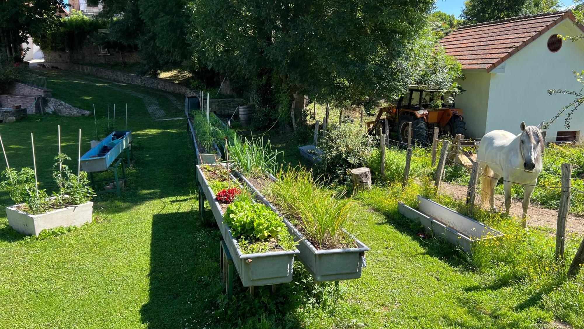 Casa Rural Roncesvalles Espinal-Auzperri Bagian luar foto